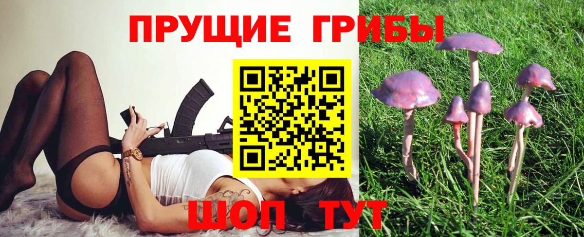 Долгопрудный  Галлюциногенные грибы мухоморы  купить   Галлюциногенные грибы Psilocybe  Вход с VPN 