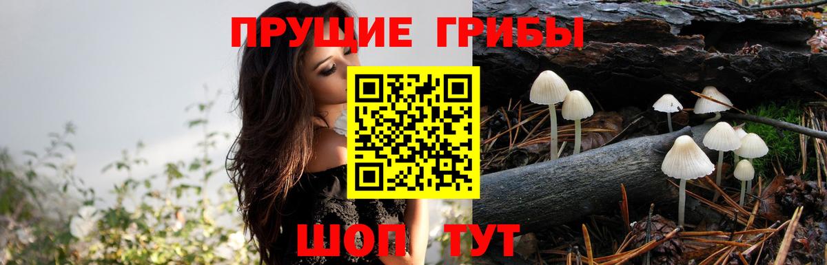 Галлюциногенные грибы ЛСД Долгопрудный